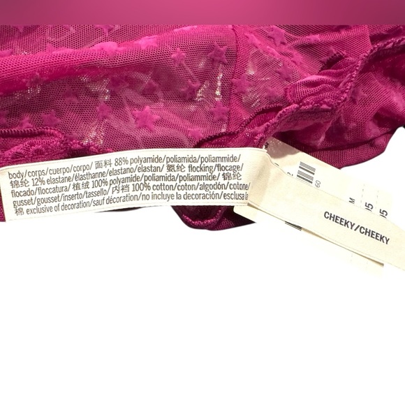 NWT Victoria’s Secret PINK Sheer Maroon Star Ruffle Cheeky Panty - Picture 4 of 5